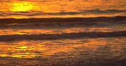 Describe the photo or the page it links to