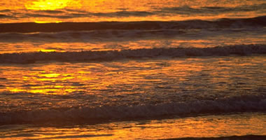 Describe the photo or the page it links to